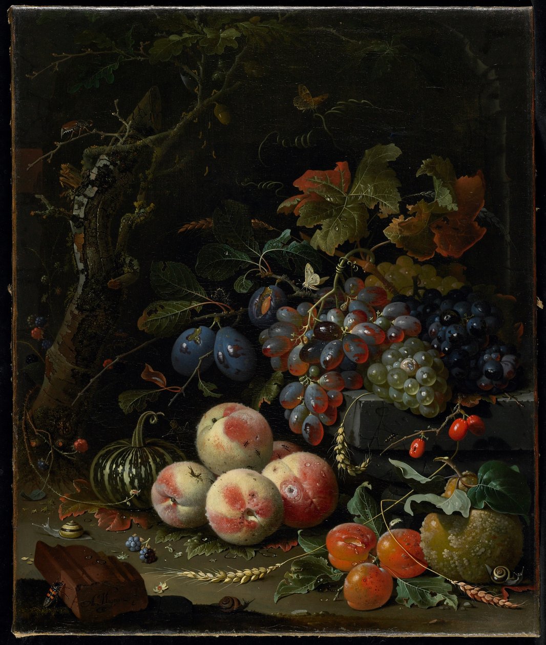 果物、葉、昆虫のある静物、c.1669